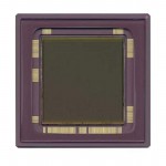 CYIL1SM4000AA-GDC参考图片
