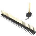 PBC33SGAN参考图片